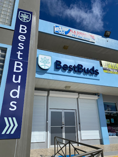 Caguas – Town Center